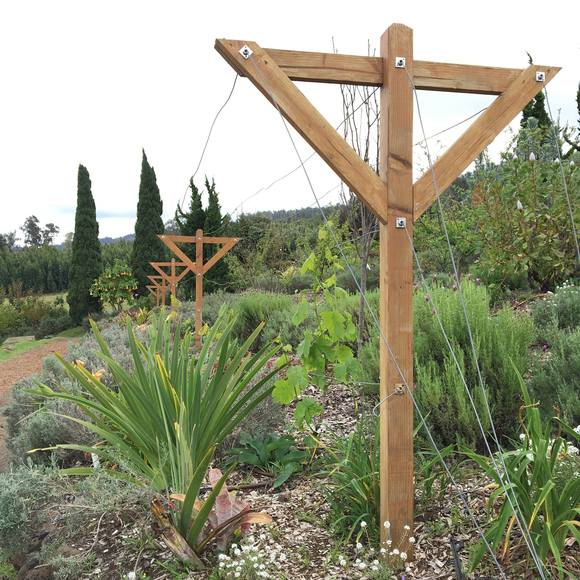 Meet your Posher, Cee - Picture 1 of 1